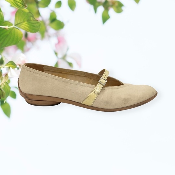 Salvatore Ferragamo Shoes - Salvatore Ferragamo Audrey Mary Jane Ballet Flats
